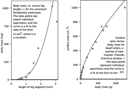 scaling-animals-1