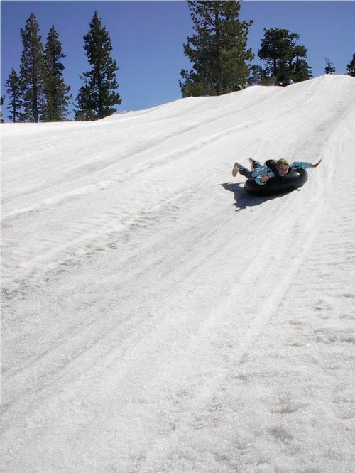 sledding